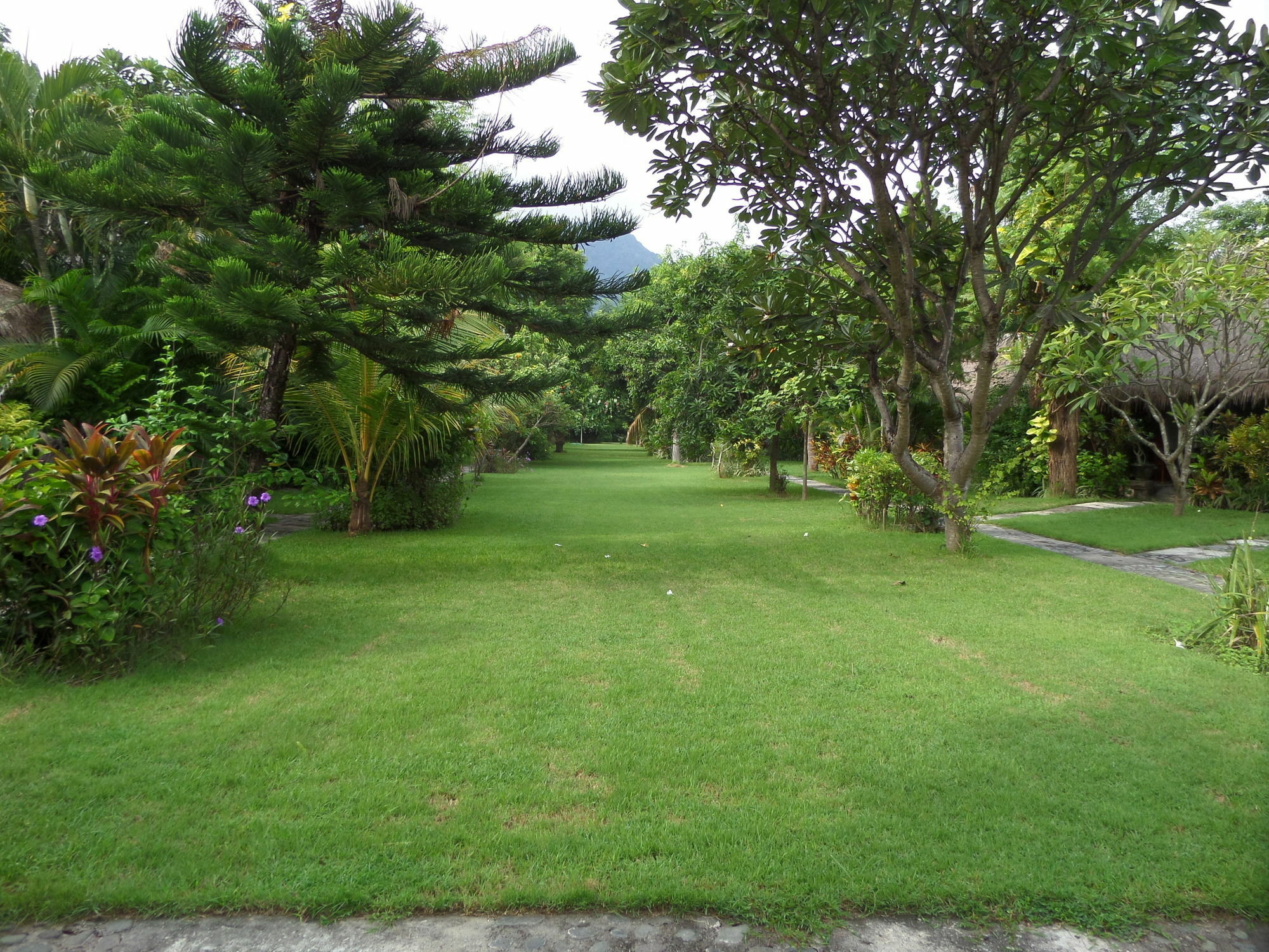 Taman Selini Wahana Beach Resort Pemuteran Esterno foto