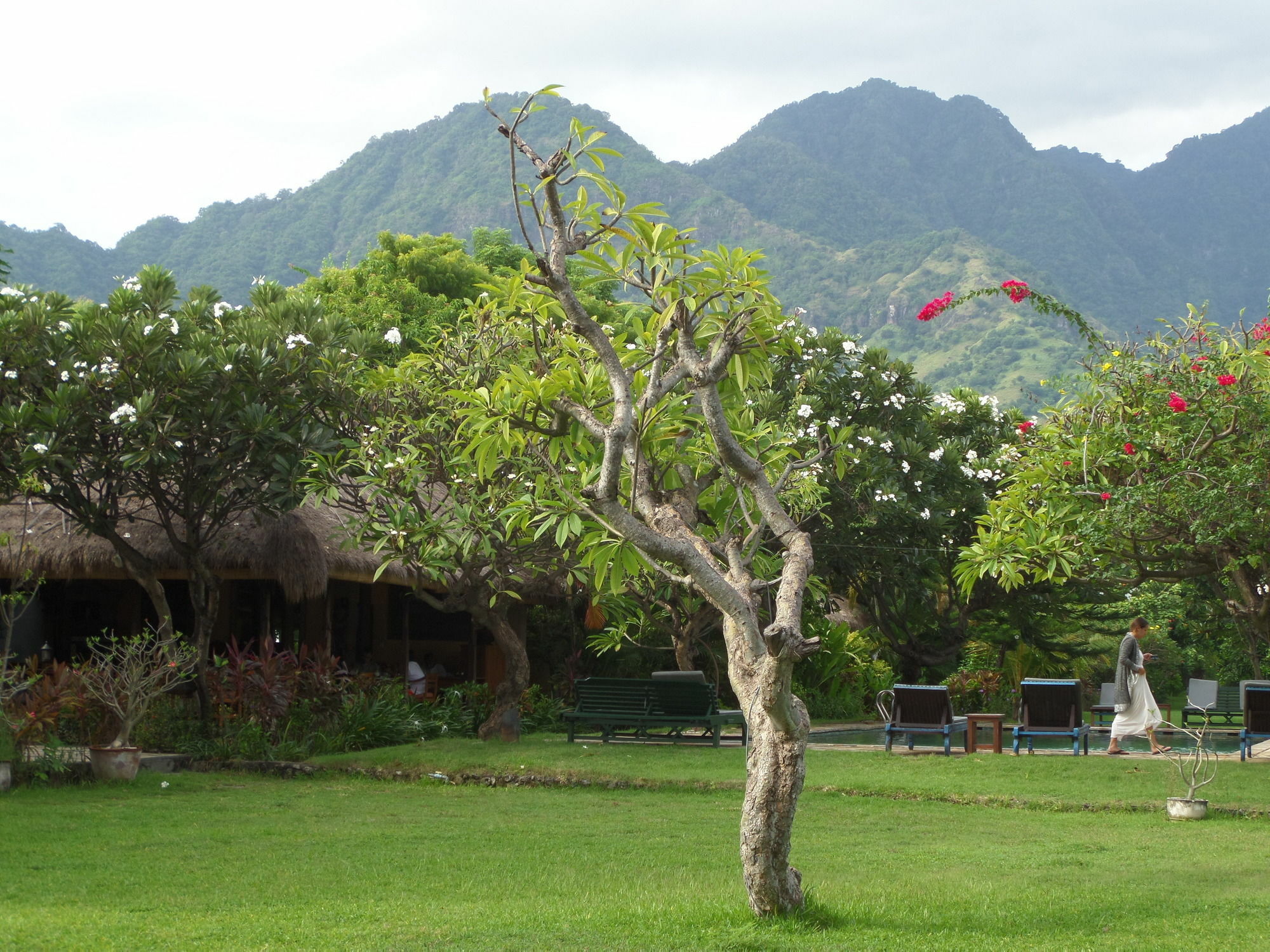 Taman Selini Wahana Beach Resort Pemuteran Esterno foto